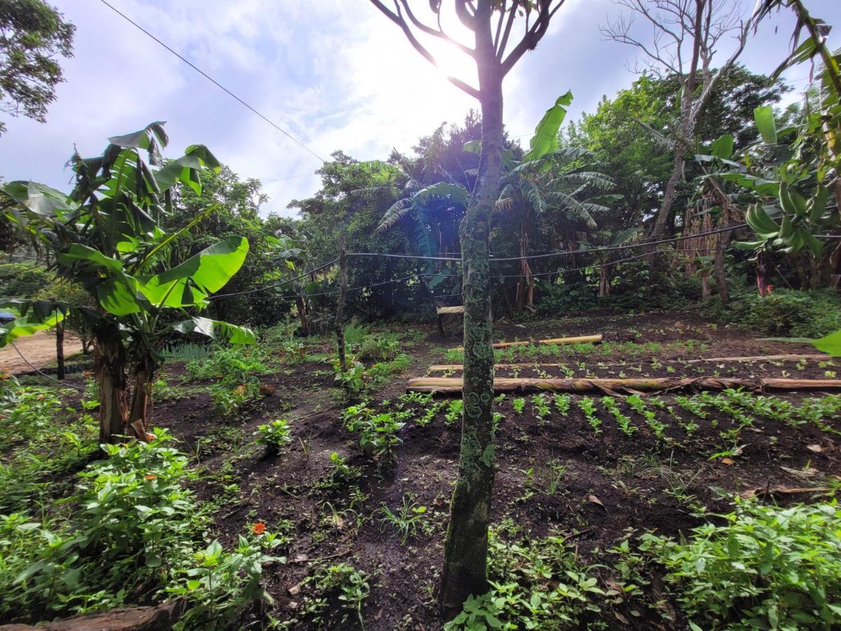 Granja Los Campesinos Monteverde Luaran gambar